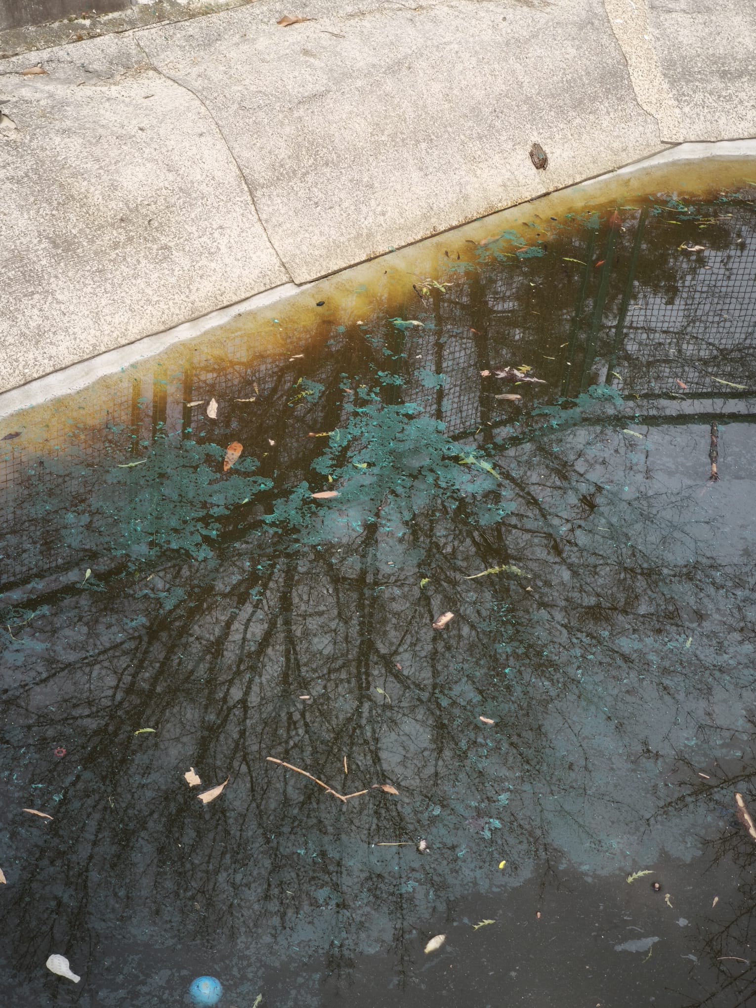 WhatsApp Image 2026-03-17 at 14.23.09 (7)