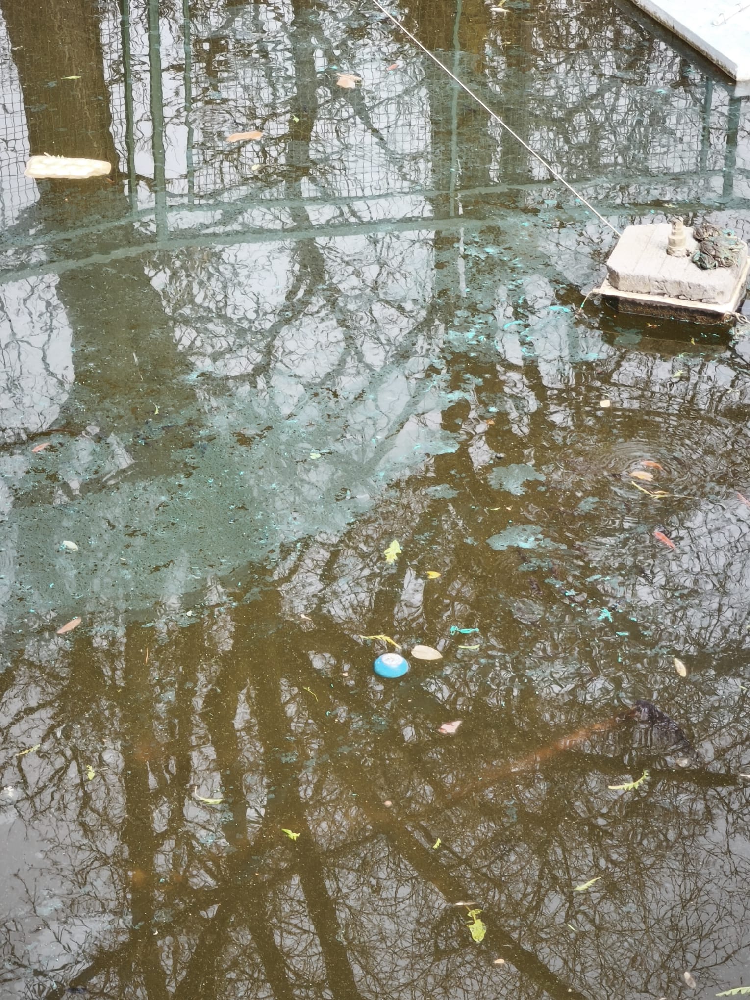 WhatsApp Image 2026-03-17 at 14.23.09