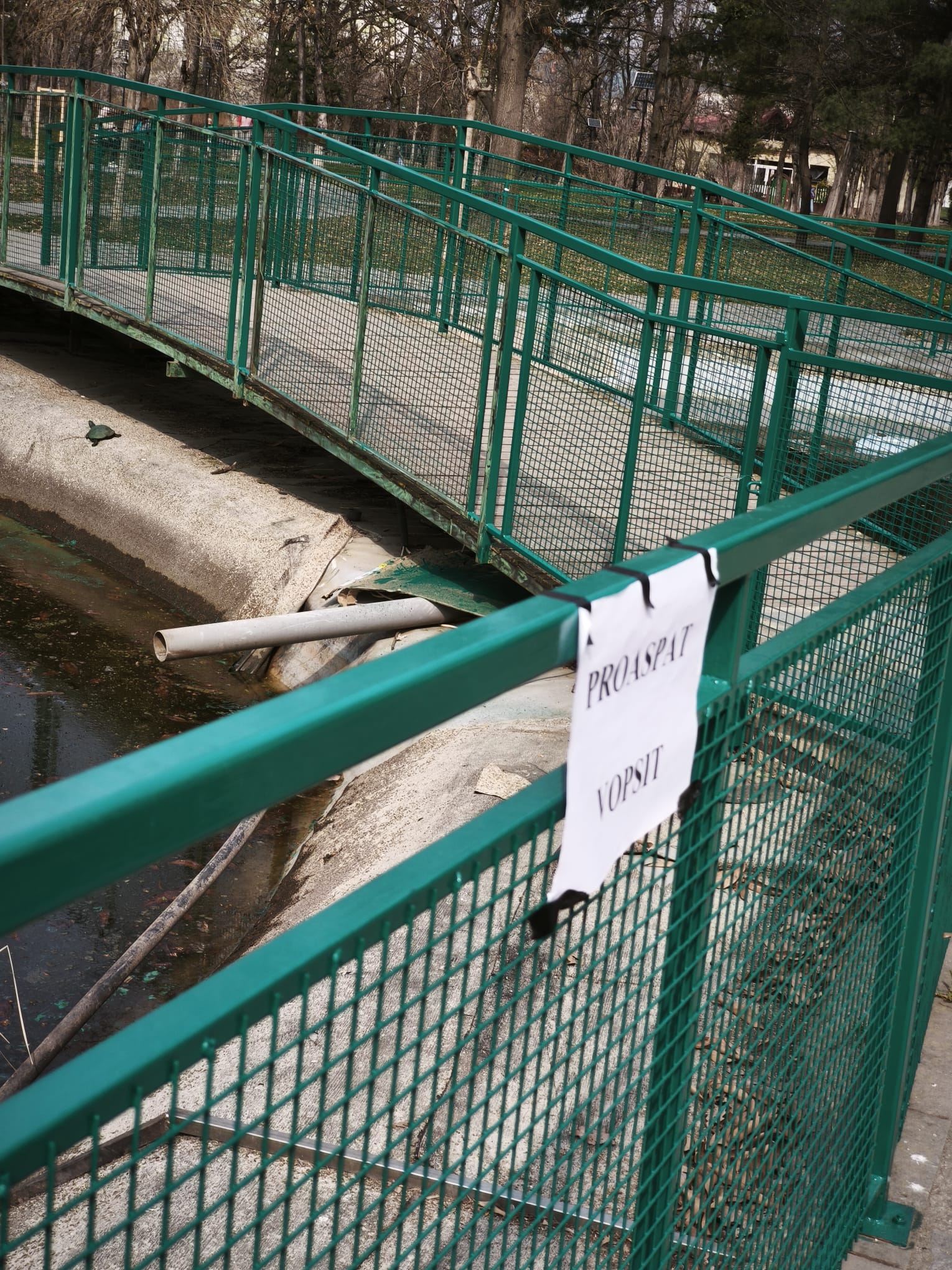 WhatsApp Image 2026-03-17 at 14.23.10 (1)