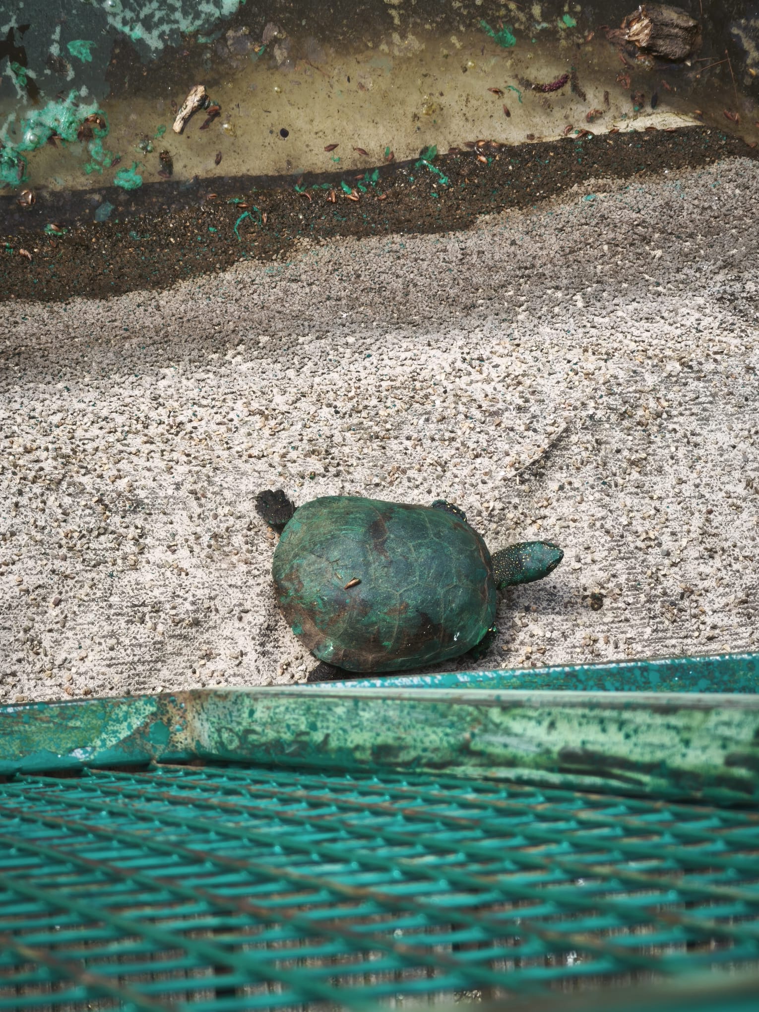 WhatsApp Image 2026-03-17 at 14.23.10 (2)