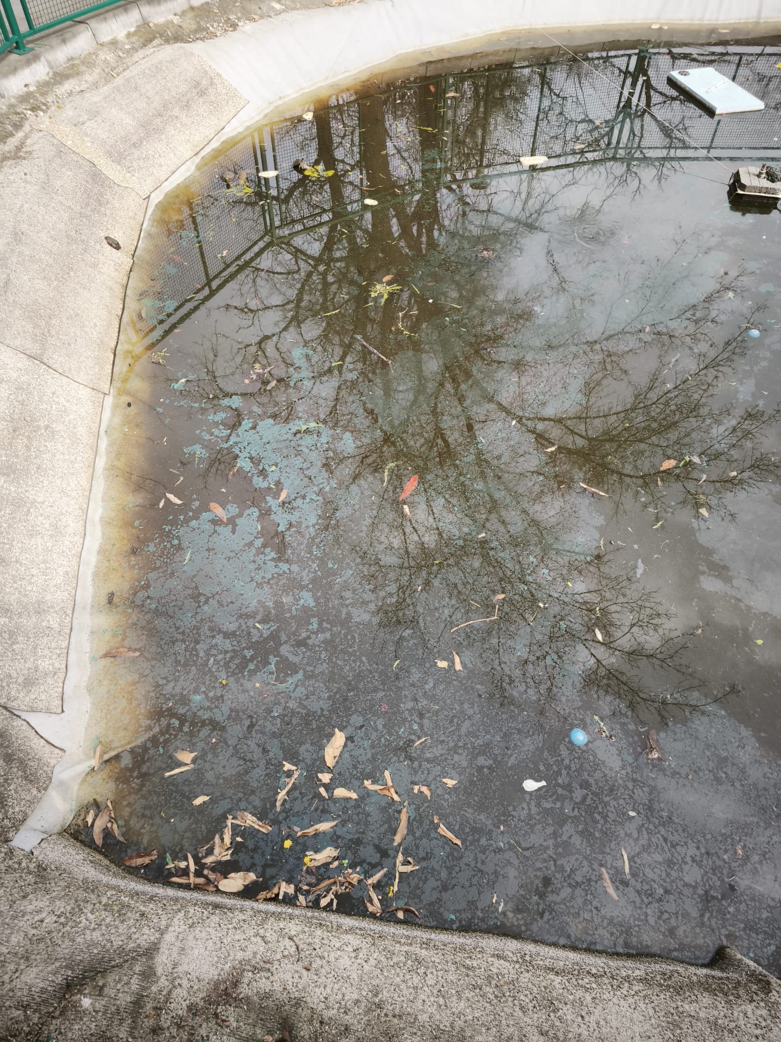 WhatsApp Image 2026-03-17 at 14.23.10 (3)