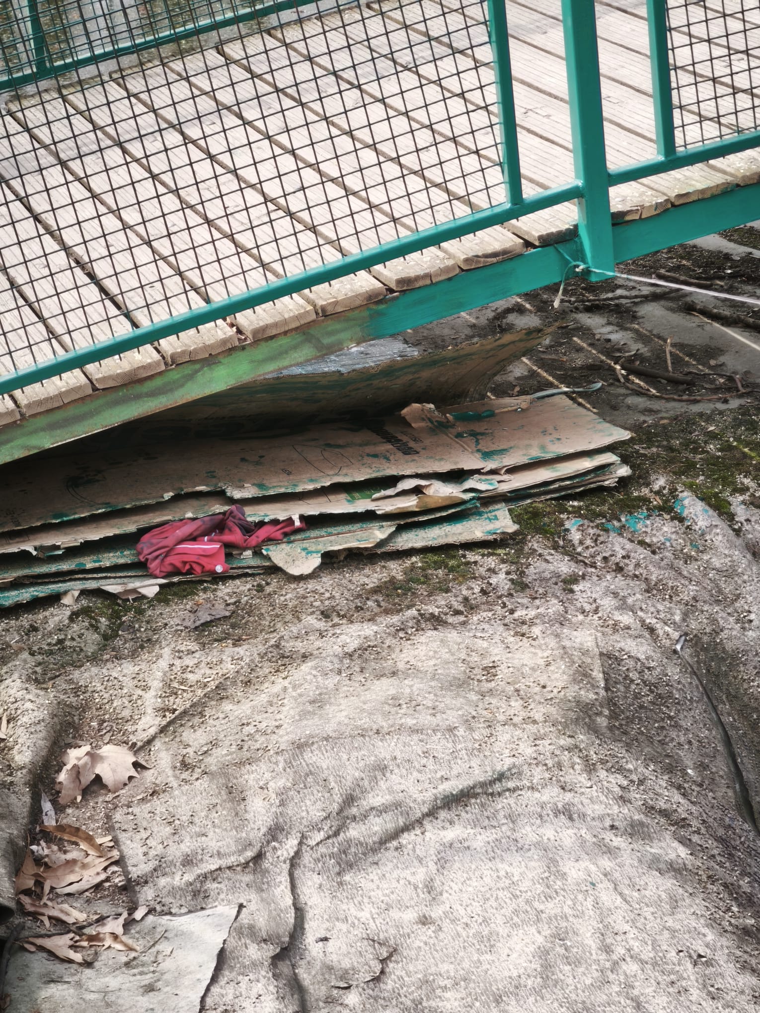 WhatsApp Image 2026-03-17 at 14.23.10