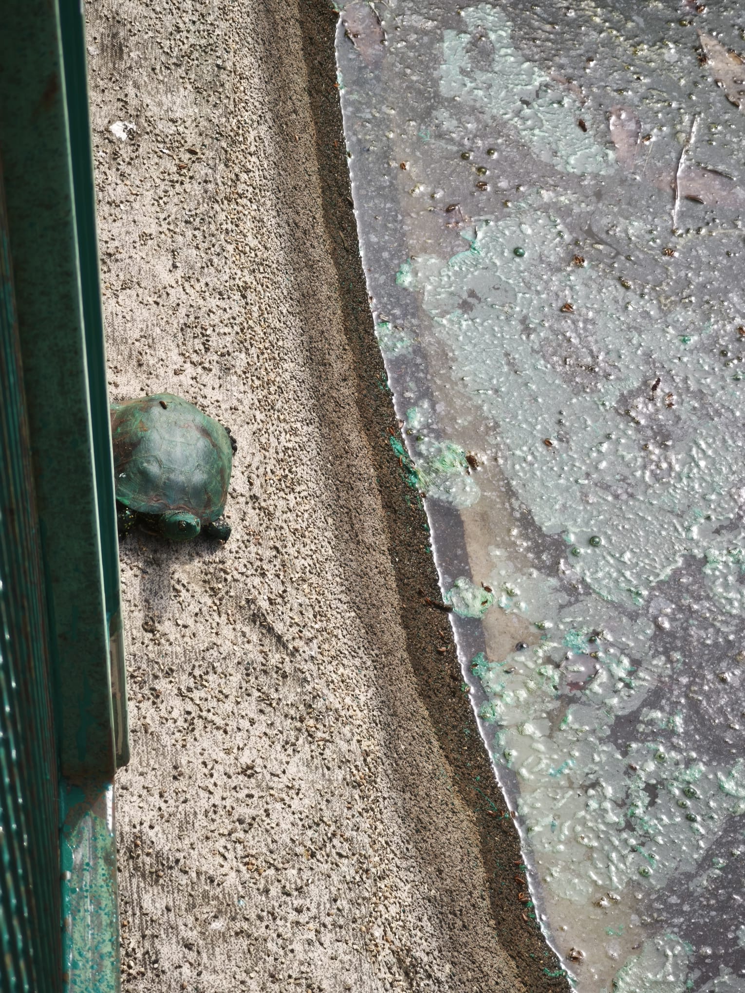 WhatsApp Image 2026-03-17 at 14.23.10 (5)