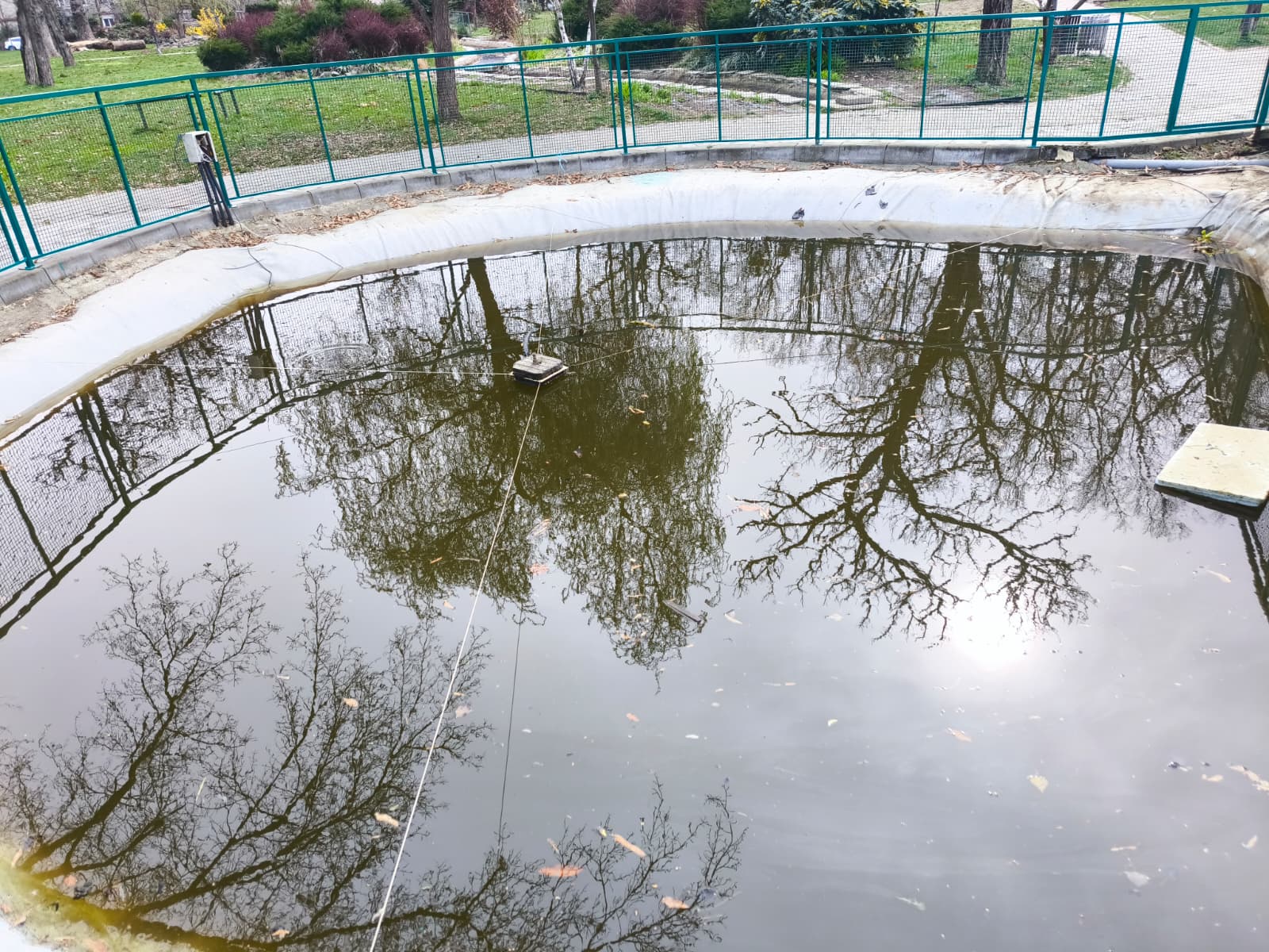 WhatsApp Image 2026-03-18 at 11.57.56