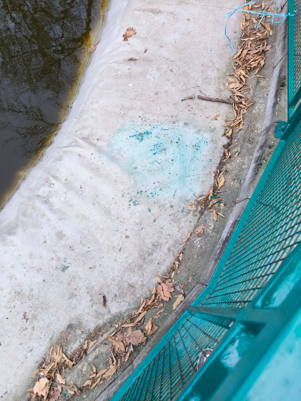 WhatsApp Image 2026-03-18 at 11.57.47 4