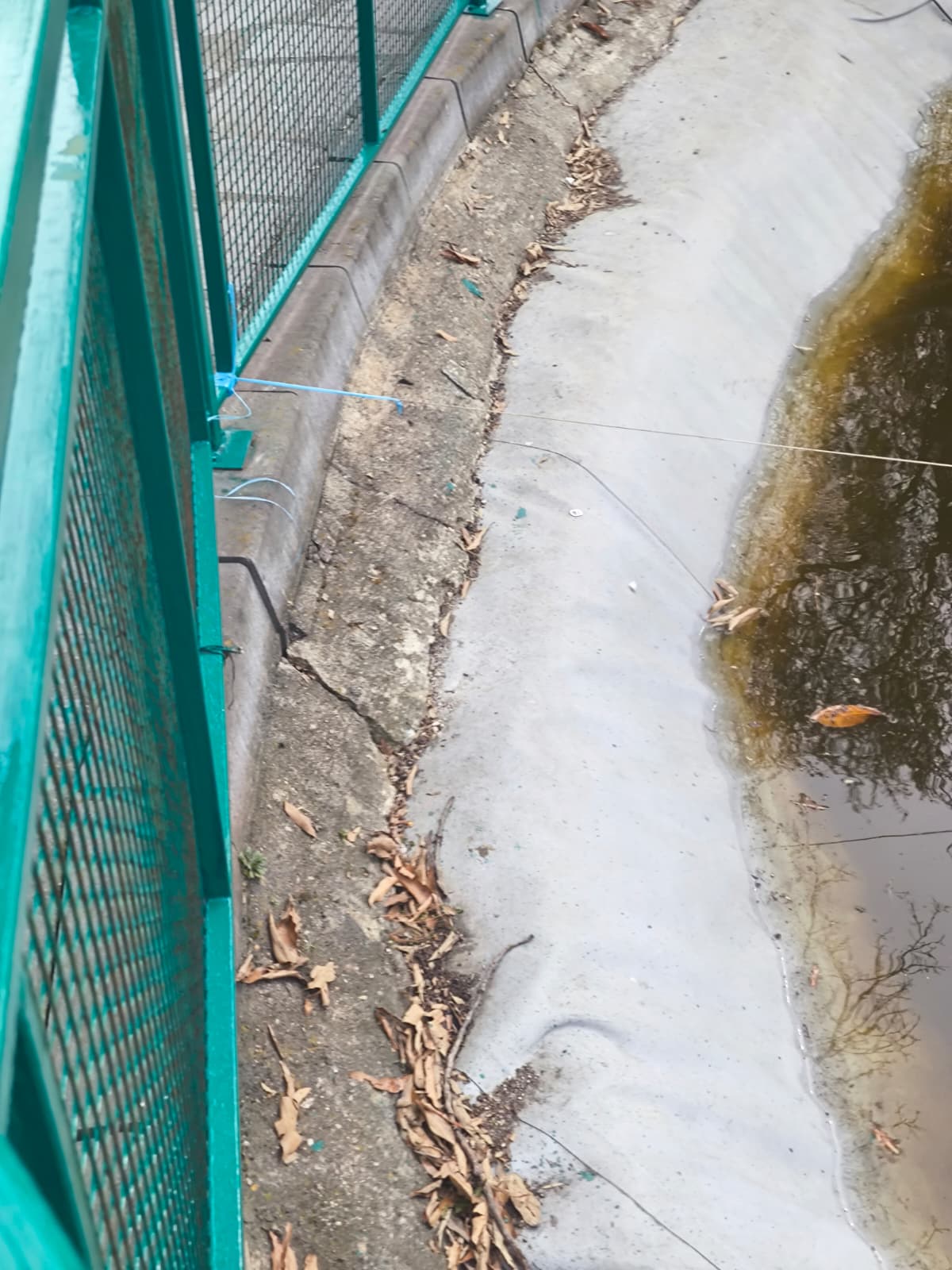 WhatsApp Image 2026-03-18 at 11.57.50