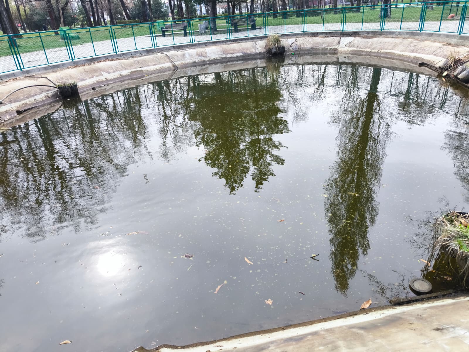 WhatsApp Image 2026-03-18 at 11.57.47 3