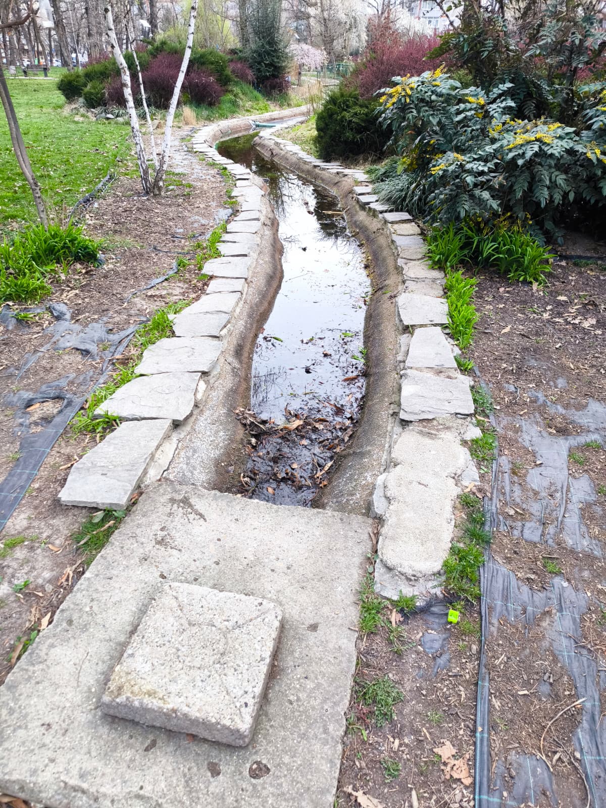 WhatsApp Image 2026-03-18 at 11.57.47