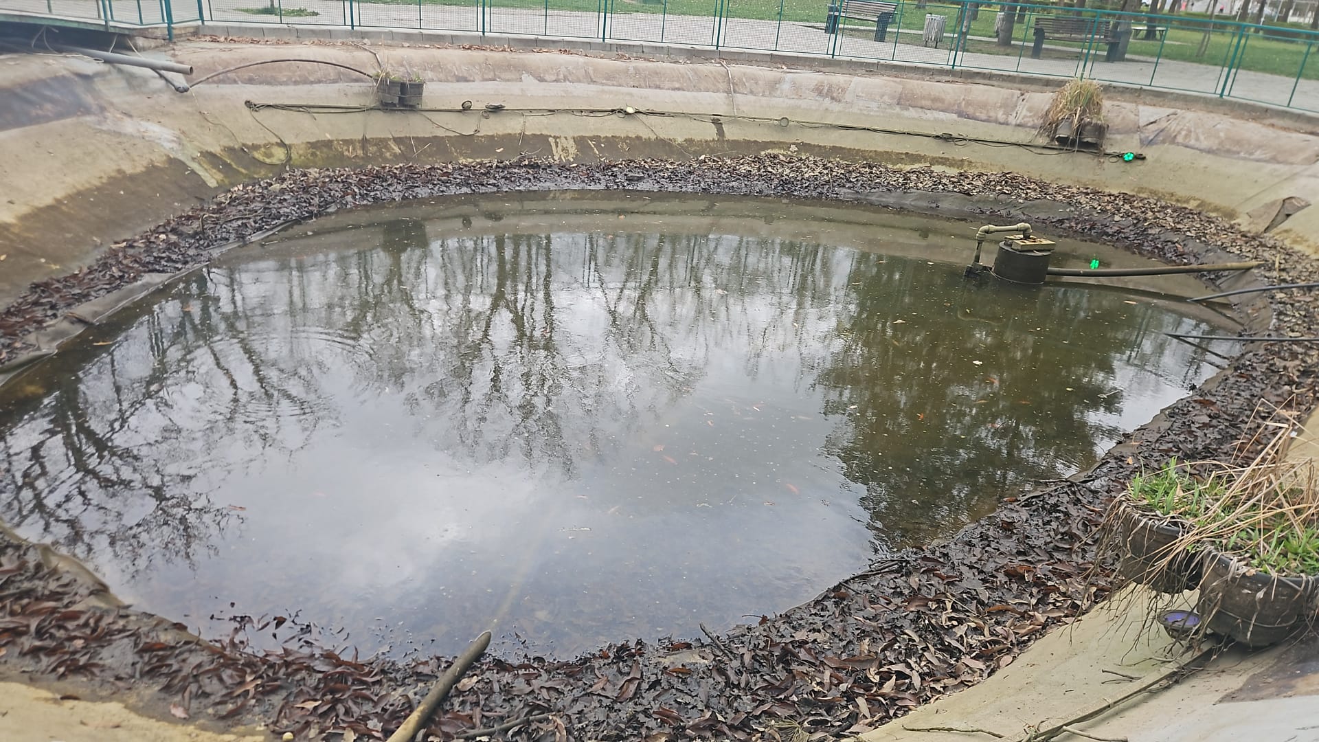 WhatsApp Image 2026-03-19 at 13.54.20 (6)