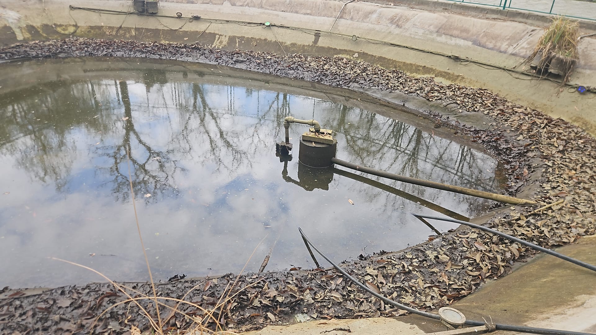 WhatsApp Image 2026-03-19 at 13.54.21 (3)