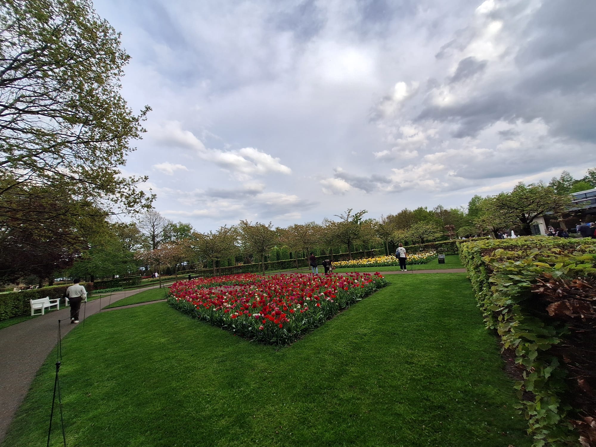 Parcul Keukenhof lalele olanda (2)
