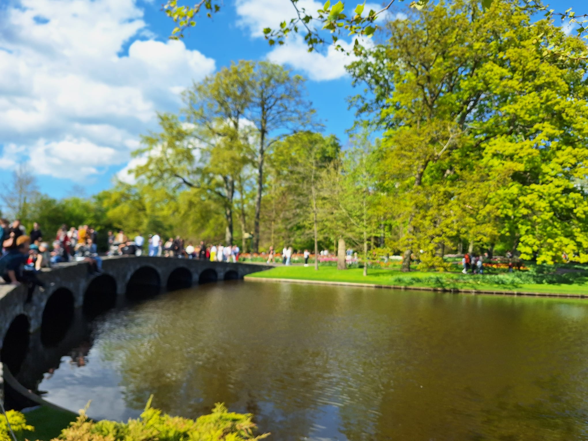Parcul Keukenhof lalele olanda (13)
