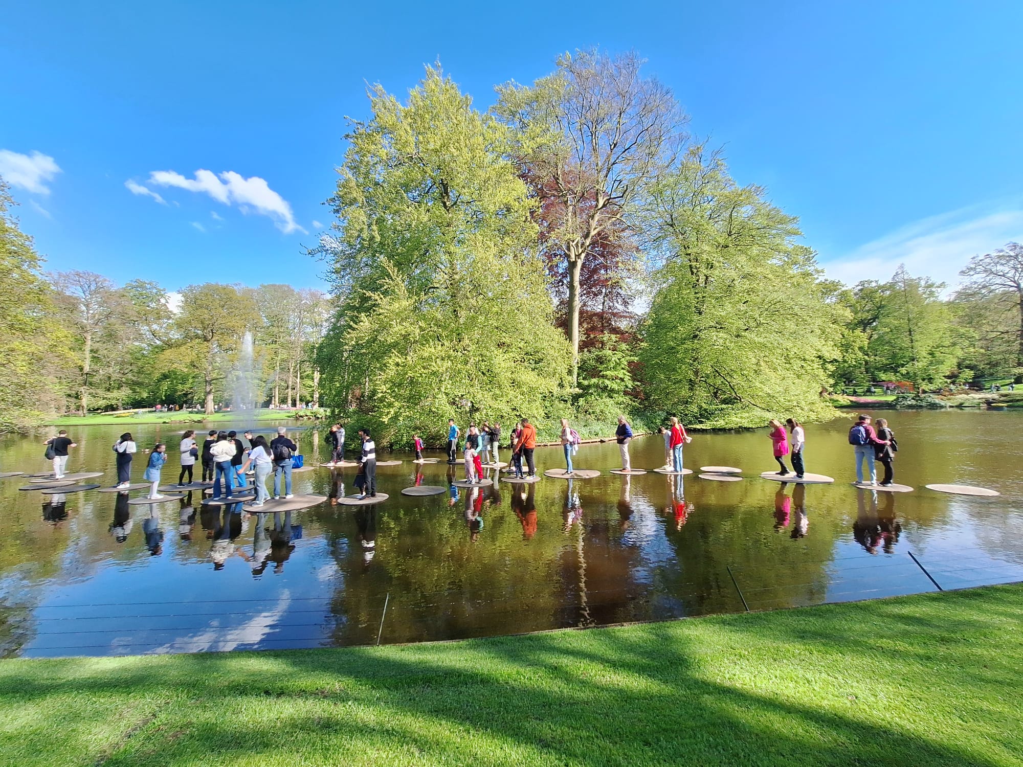 Parcul Keukenhof lalele olanda (14)