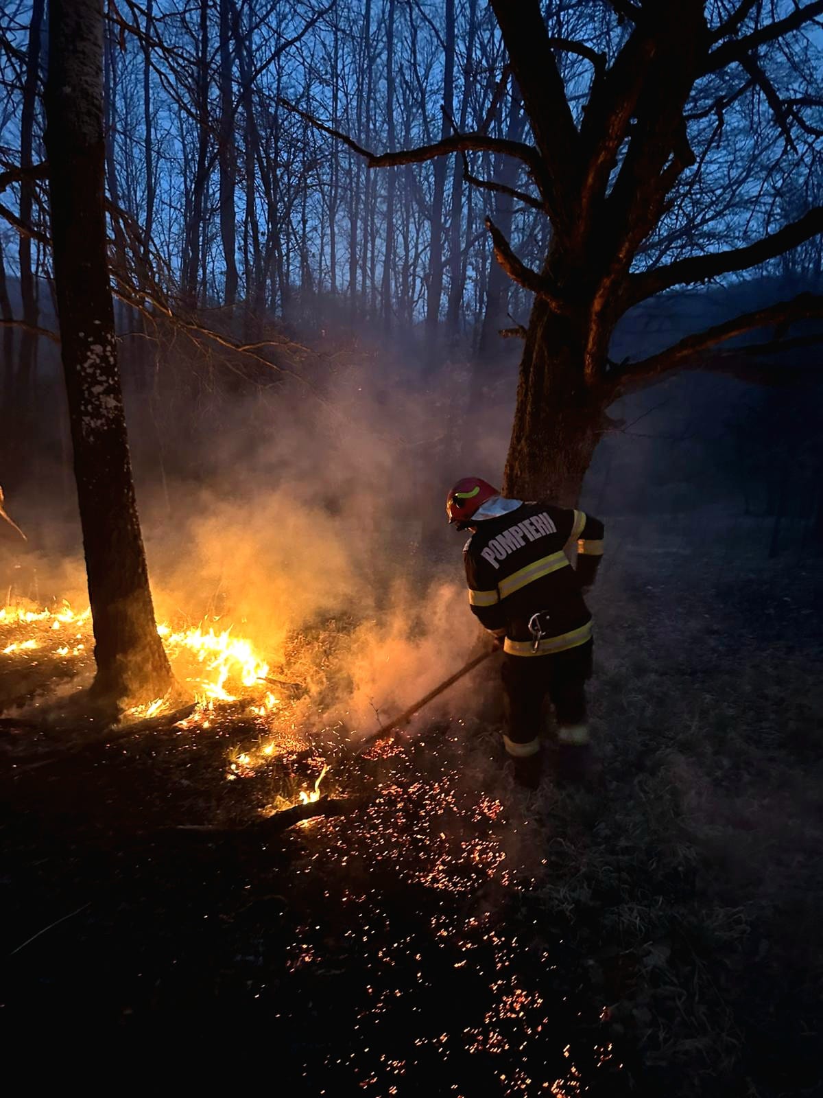 incendiu vegetatie Coșteiu de Sus pompieri (3)