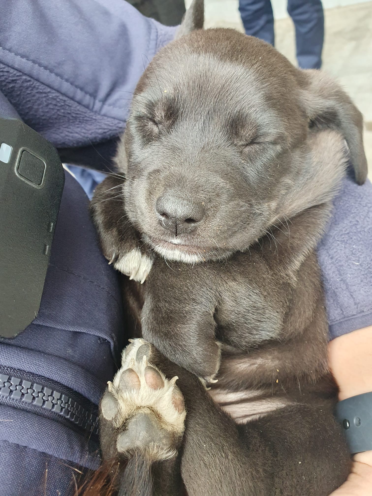 WhatsApp Image 2026-03-26 at 16.39.55