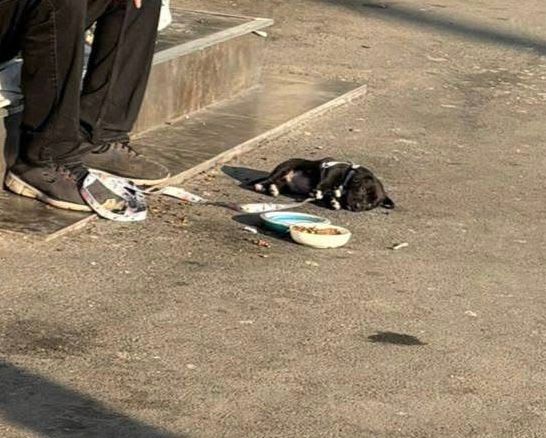 WhatsApp Image 2026-03-26 at 16.39.40