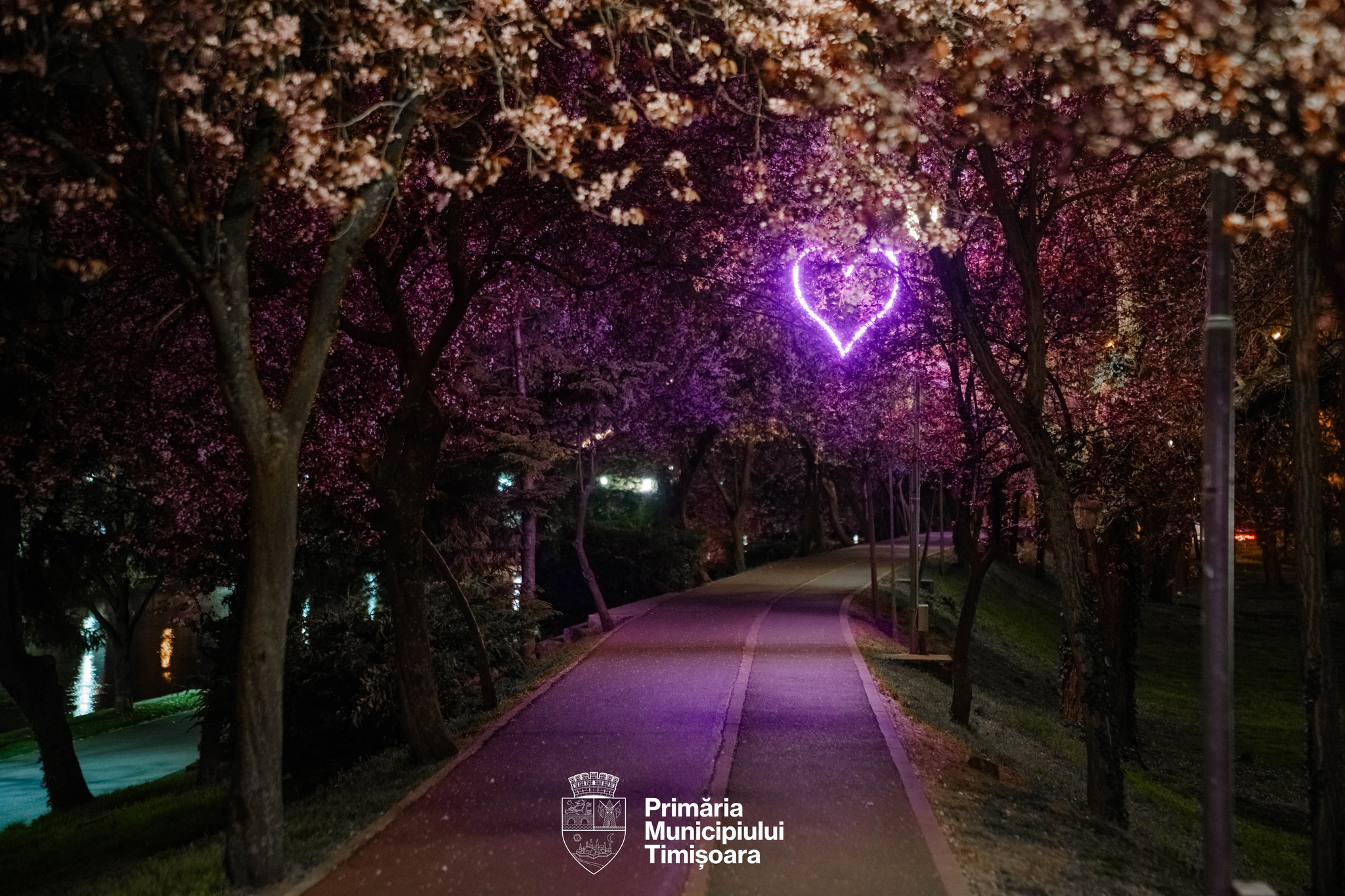 tunelul iubirii luminat