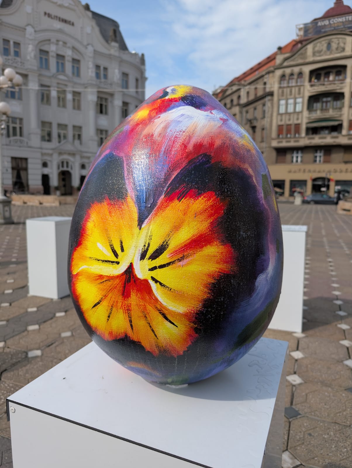 targ pasti 2026 (21)