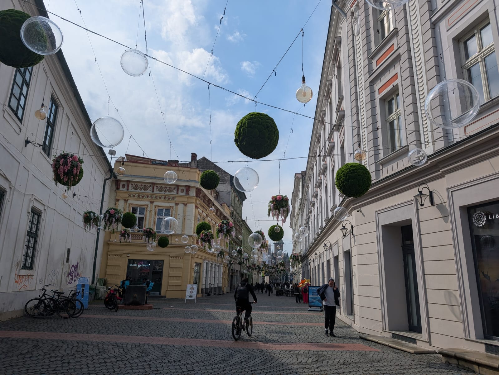 targ pasti 2026 (13)