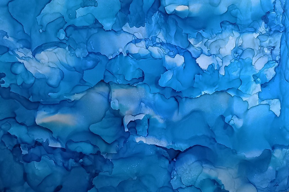 tablouri lidia stef varsandan (15)