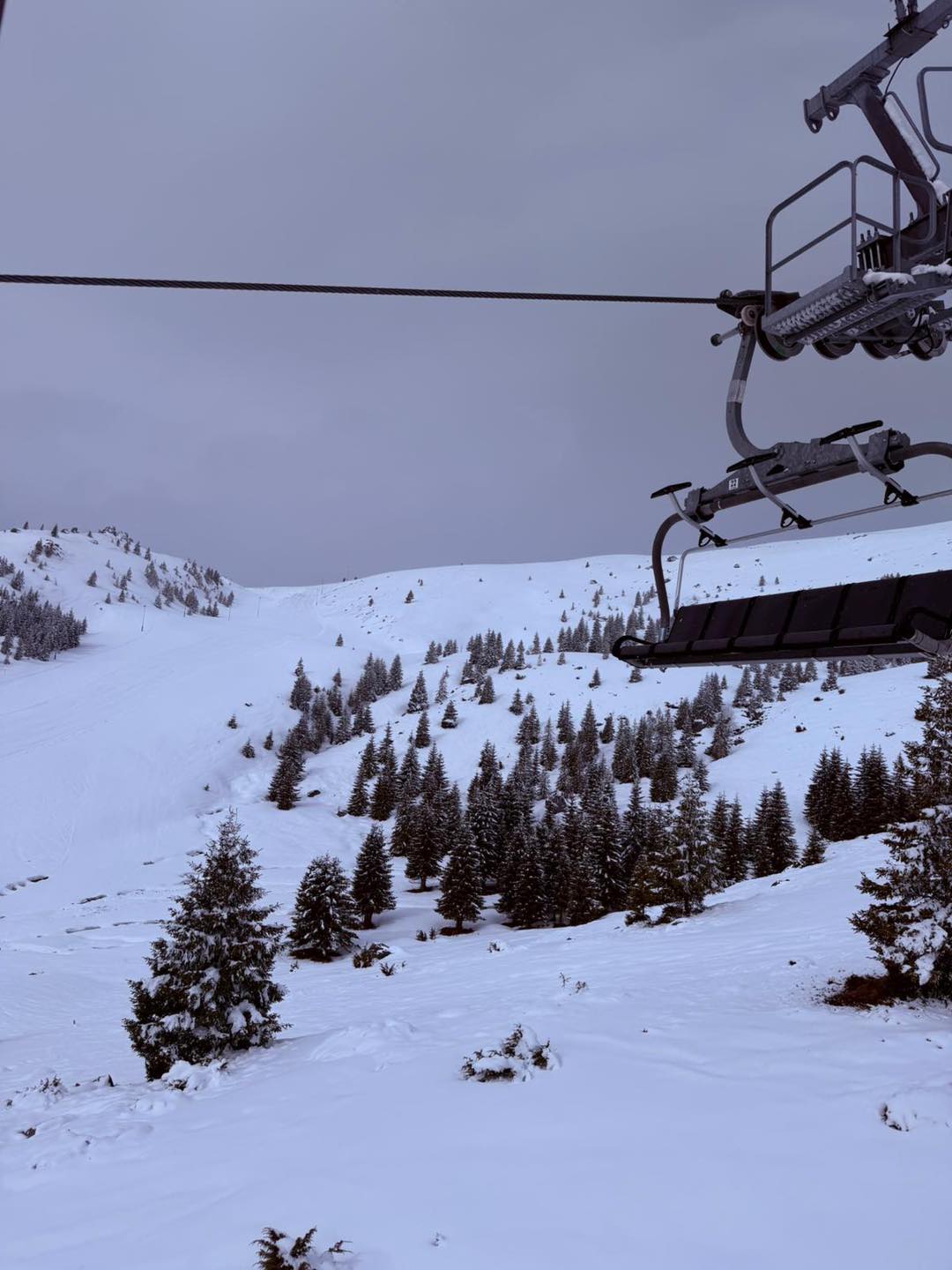 zapada muntele mic (5)