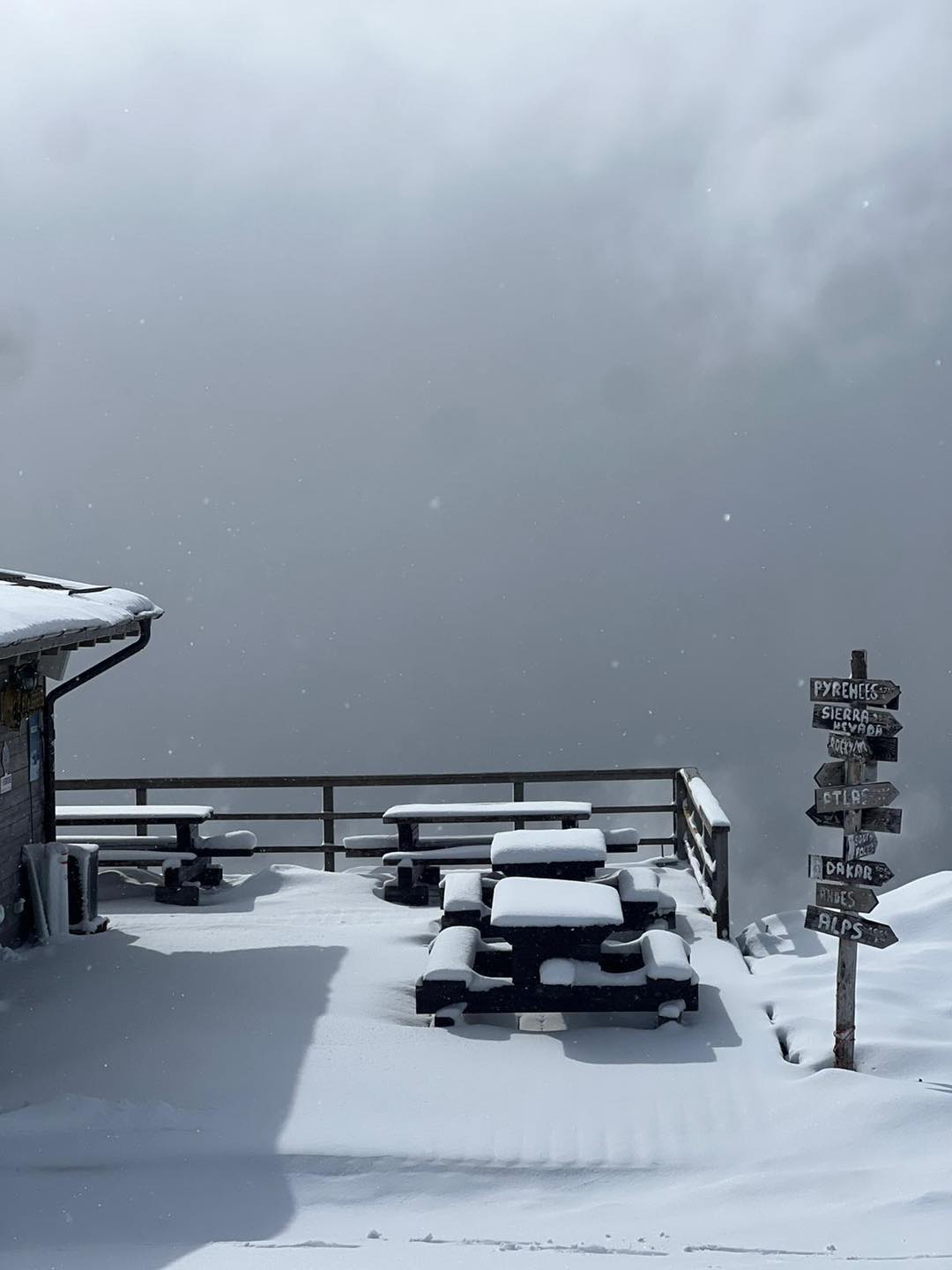 zapada muntele mic (6)