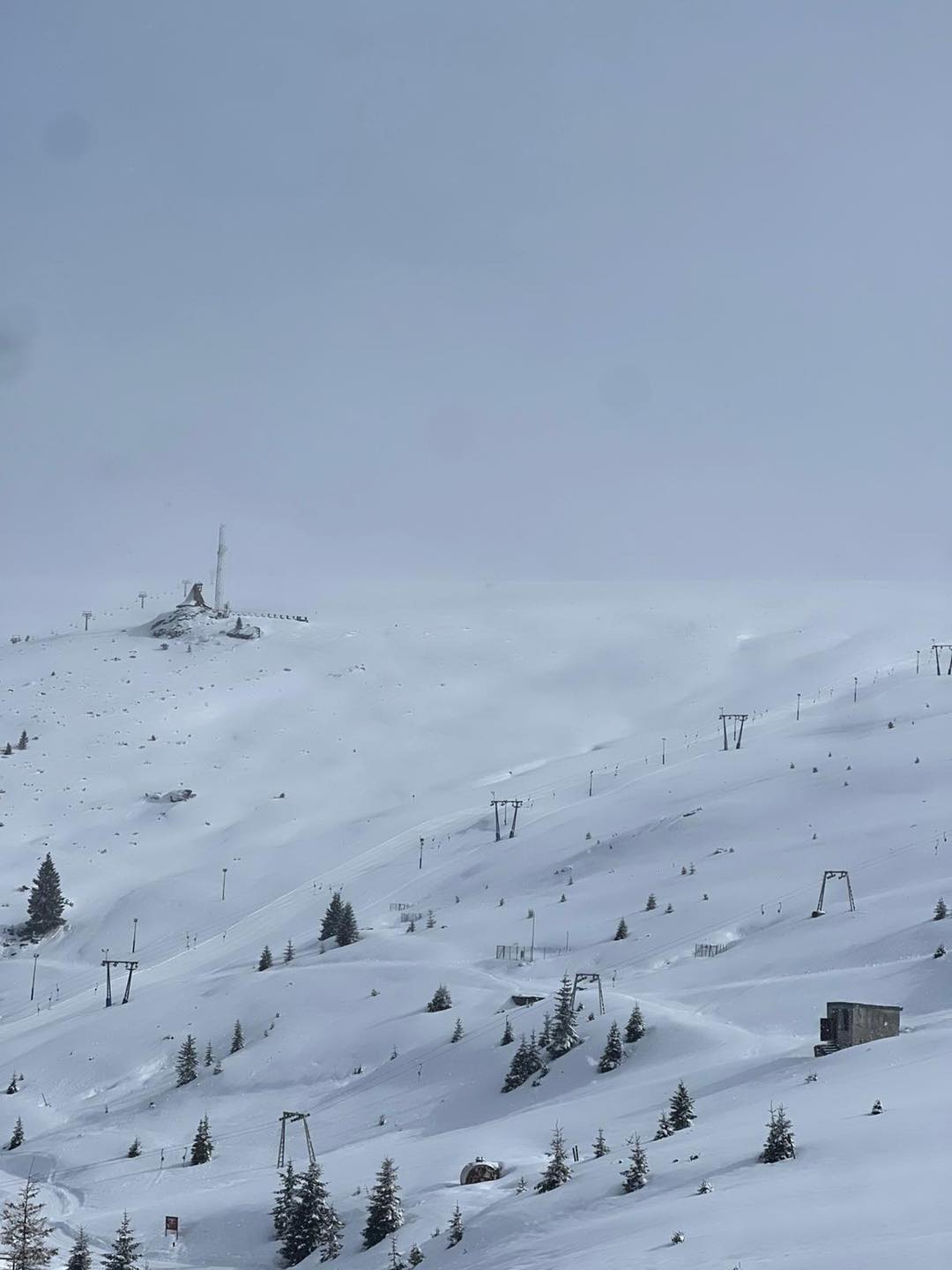 zapada muntele mic (1)