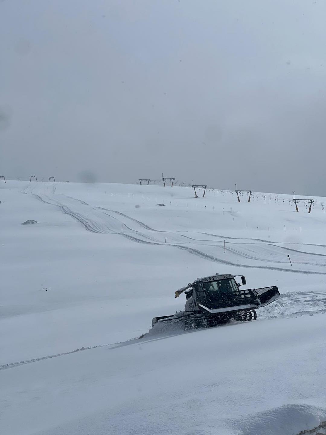 zapada muntele mic (8)