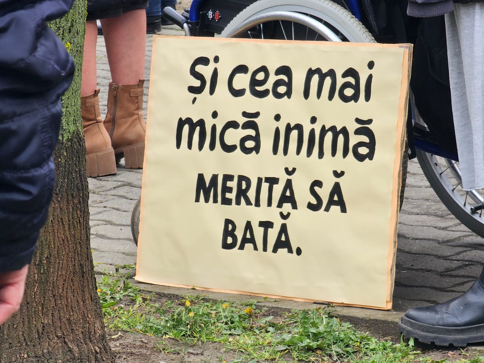 marsul pentru viata (3)