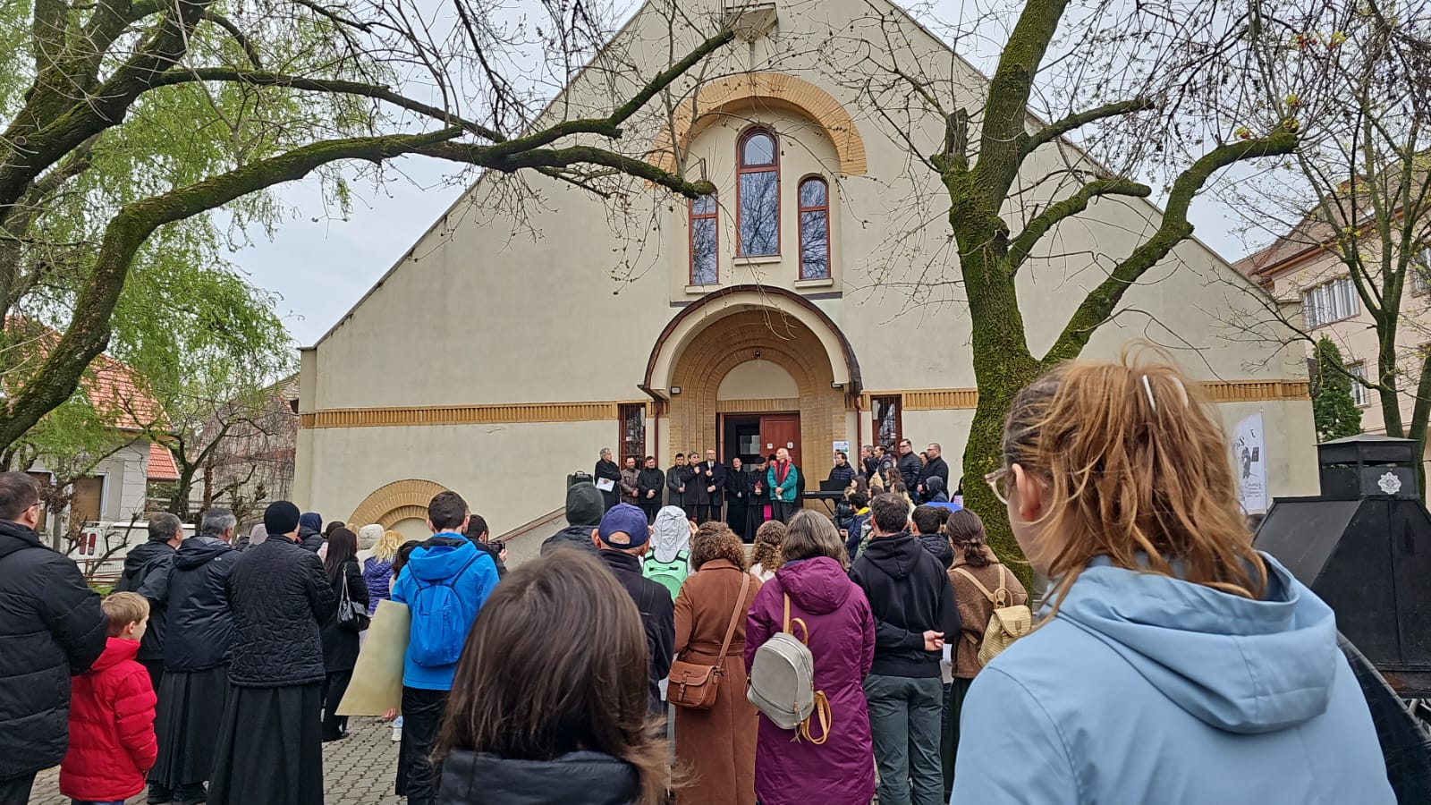 marsul pentru viata (1)