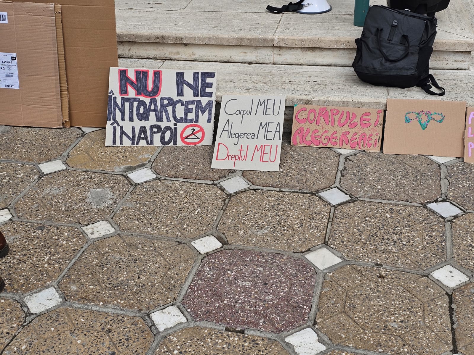 protest pro avort (12)