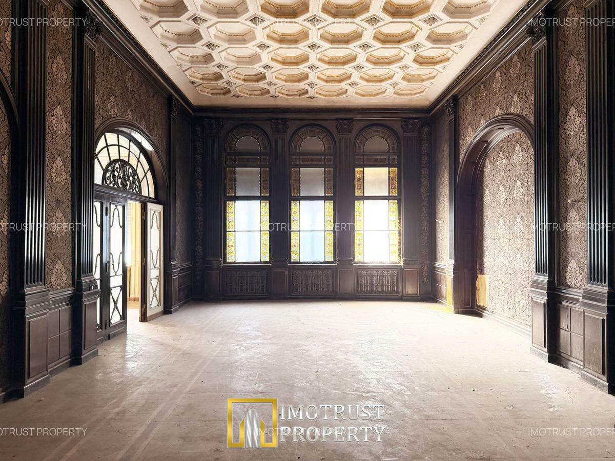 cum arata casa neuman resedinta fondatorului uta arad