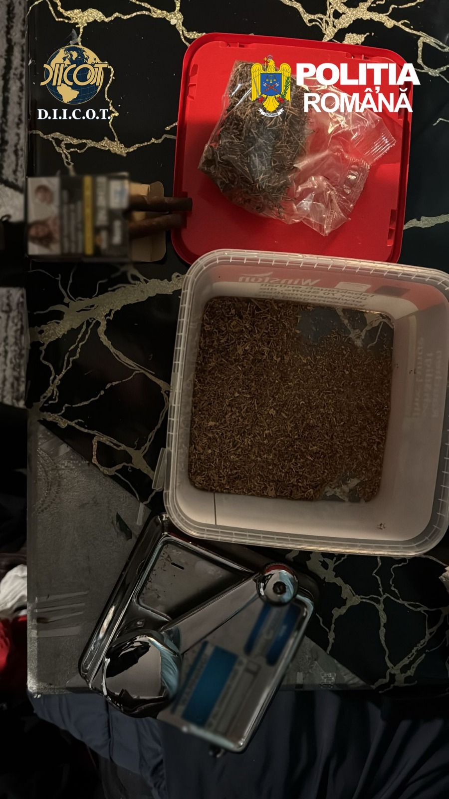 WhatsApp Image 2026-03-31 at 12.51.36 (1)