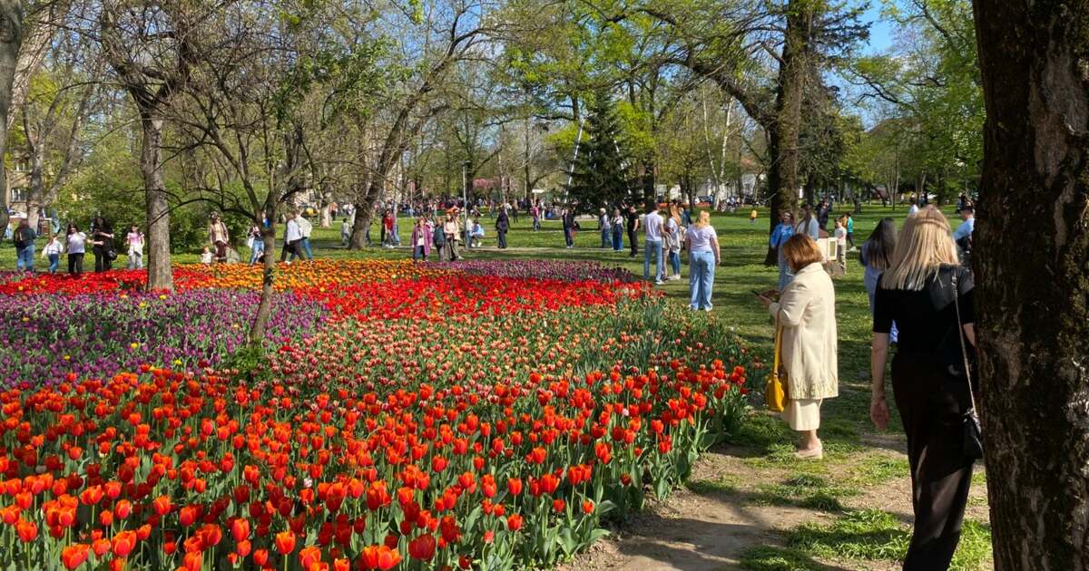 Ce activități se desfășoară astăzi, 7 aprilie 2026, în Timișoara?