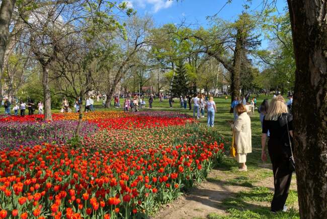 Poza pentru articolul Ce facem astăzi, 7 aprilie 2026, în Timișoara?