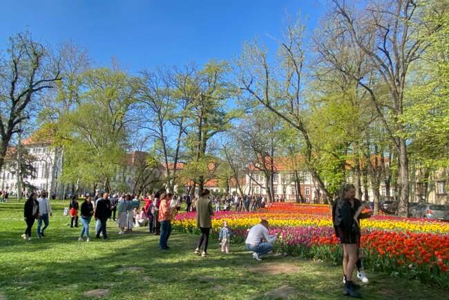 Poza pentru articolul Ce facem astăzi, 6 aprilie 2026, în Timișoara?