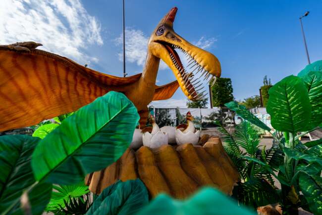 Poza pentru articolul Minivacanță la Iulius Town: dinozauri, plante carnivore, show-uri interactive și teatru pentru cei mici