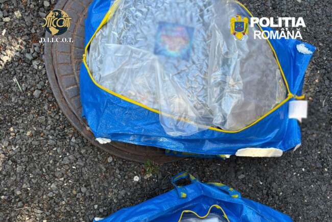 Poza pentru articolul Și-a vândut casa pentru 13 kilograme de canabis. Afacerea de 30.000 de euro s-a terminat la poliție