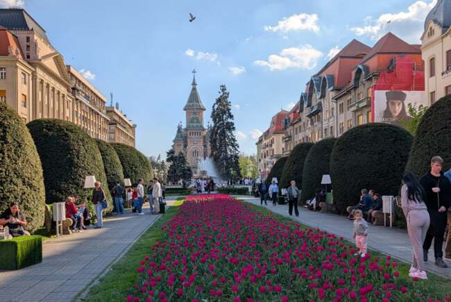 Poza pentru articolul Ce facem astăzi, 4 mai 2026, în Timișoara?