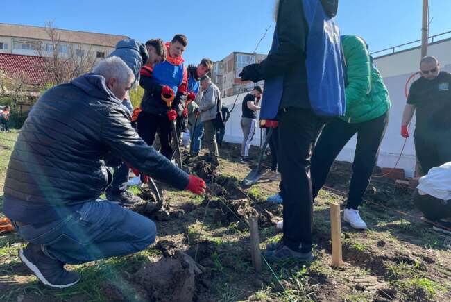 Poza pentru articolul FOTO. Aproape 300 de timișoreni au venit ca voluntari la plantarea viitoarei păduri urbane din zona Bucovina