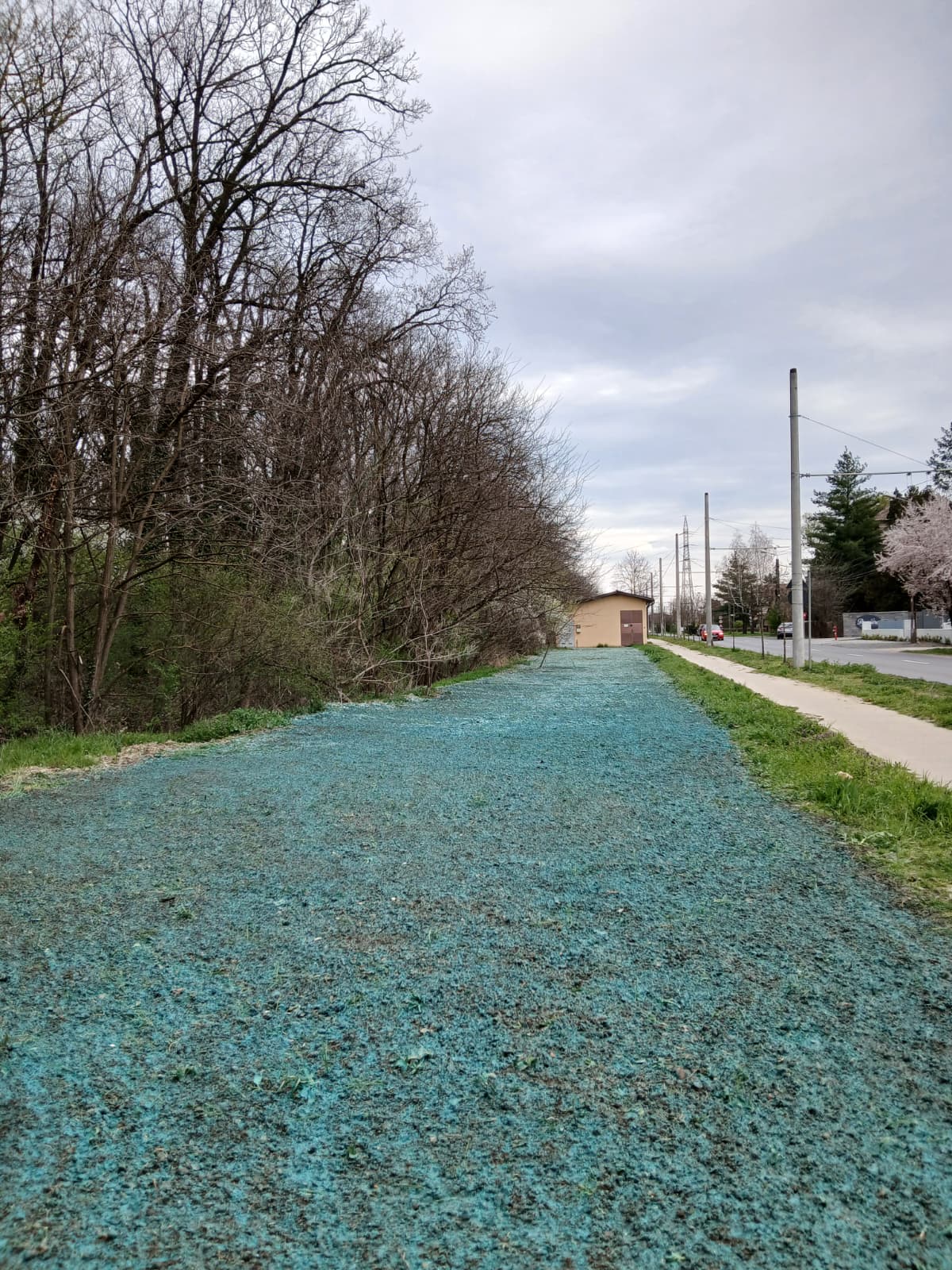 662950791_1366081695545777_6977428402548153743_n