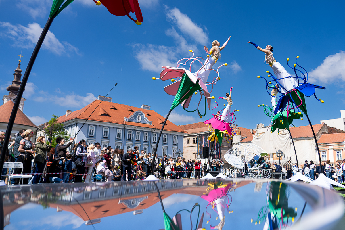 spectacol flori de florii (4)