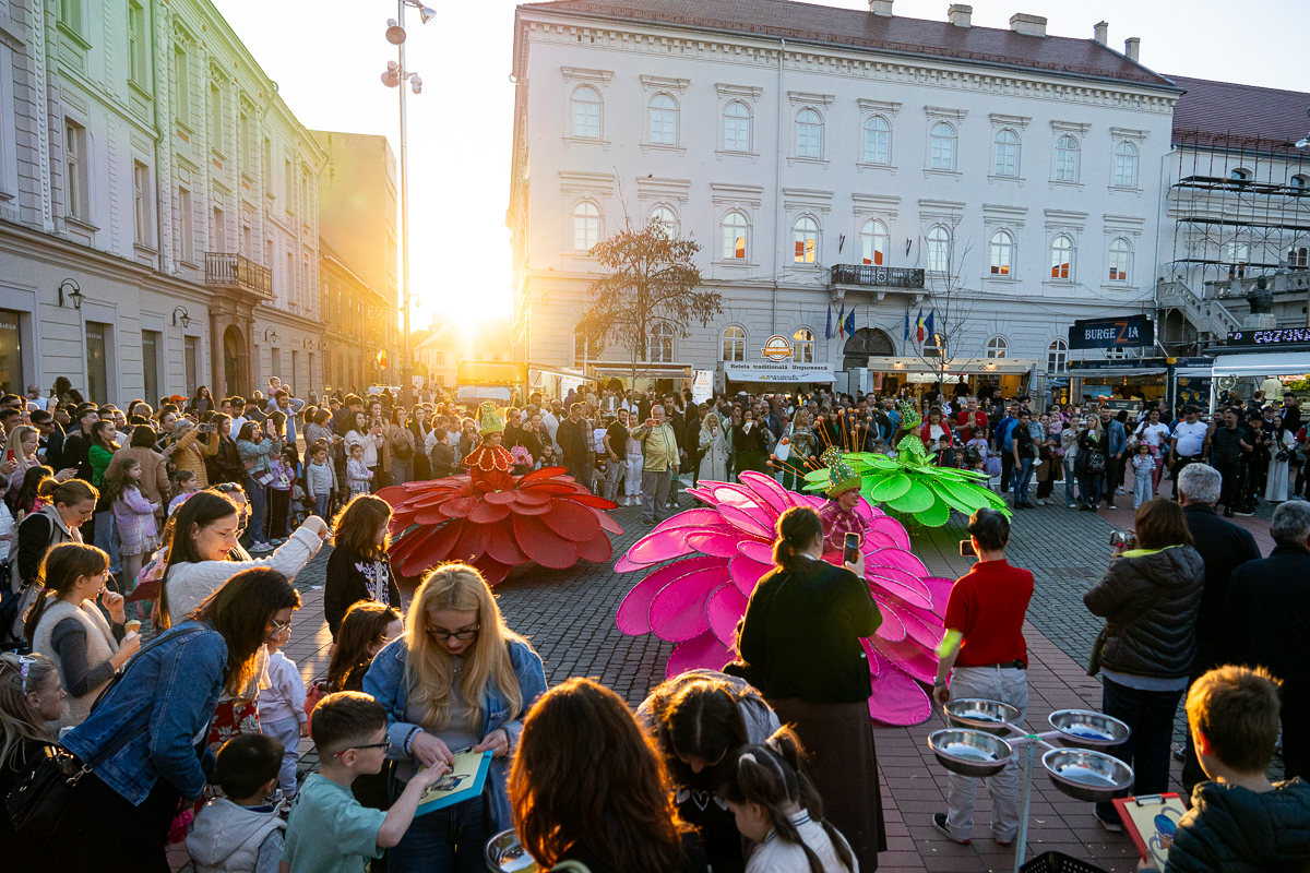 spectacol flori de florii (6)