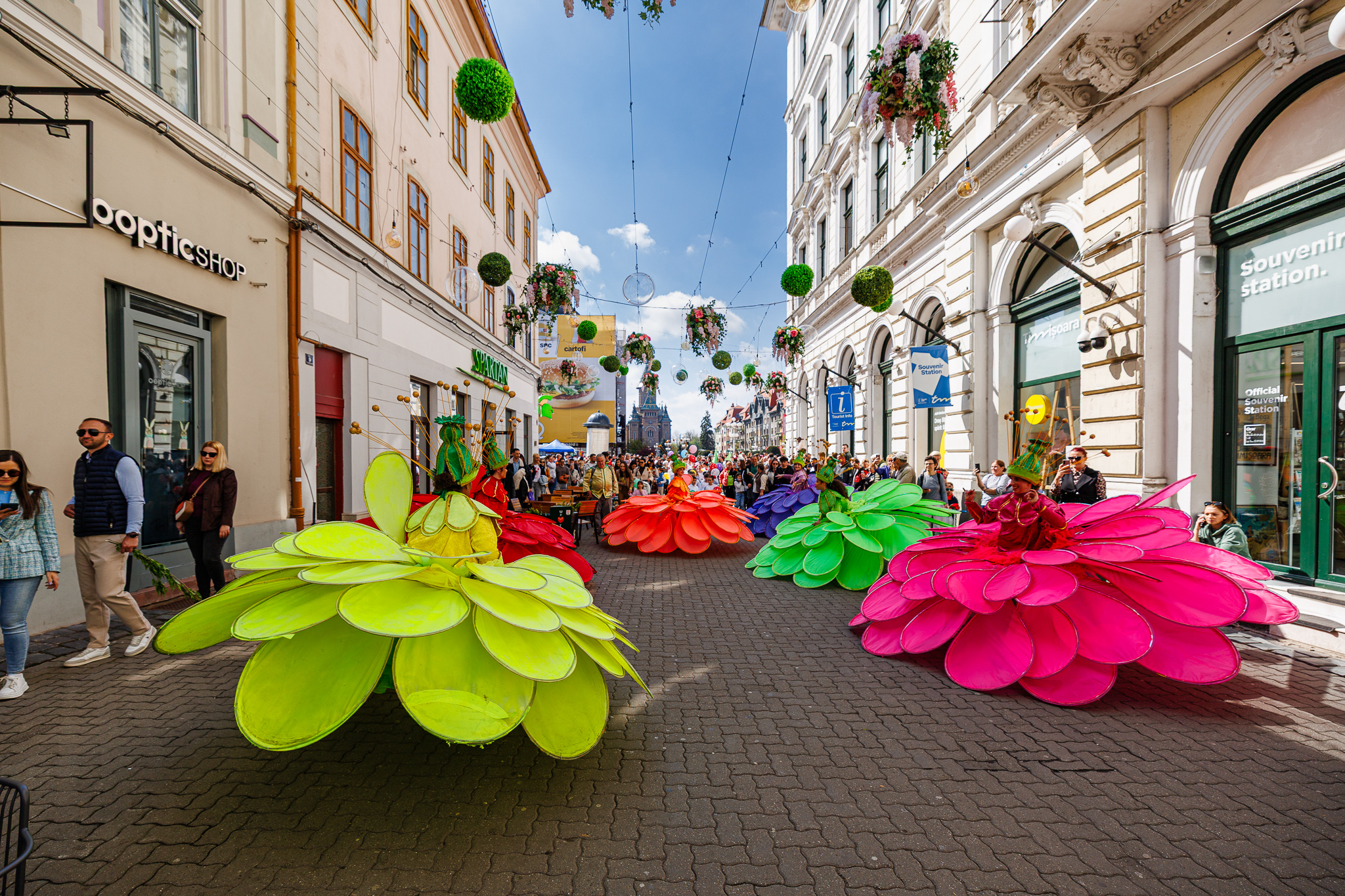 spectacol flori de florii (7)