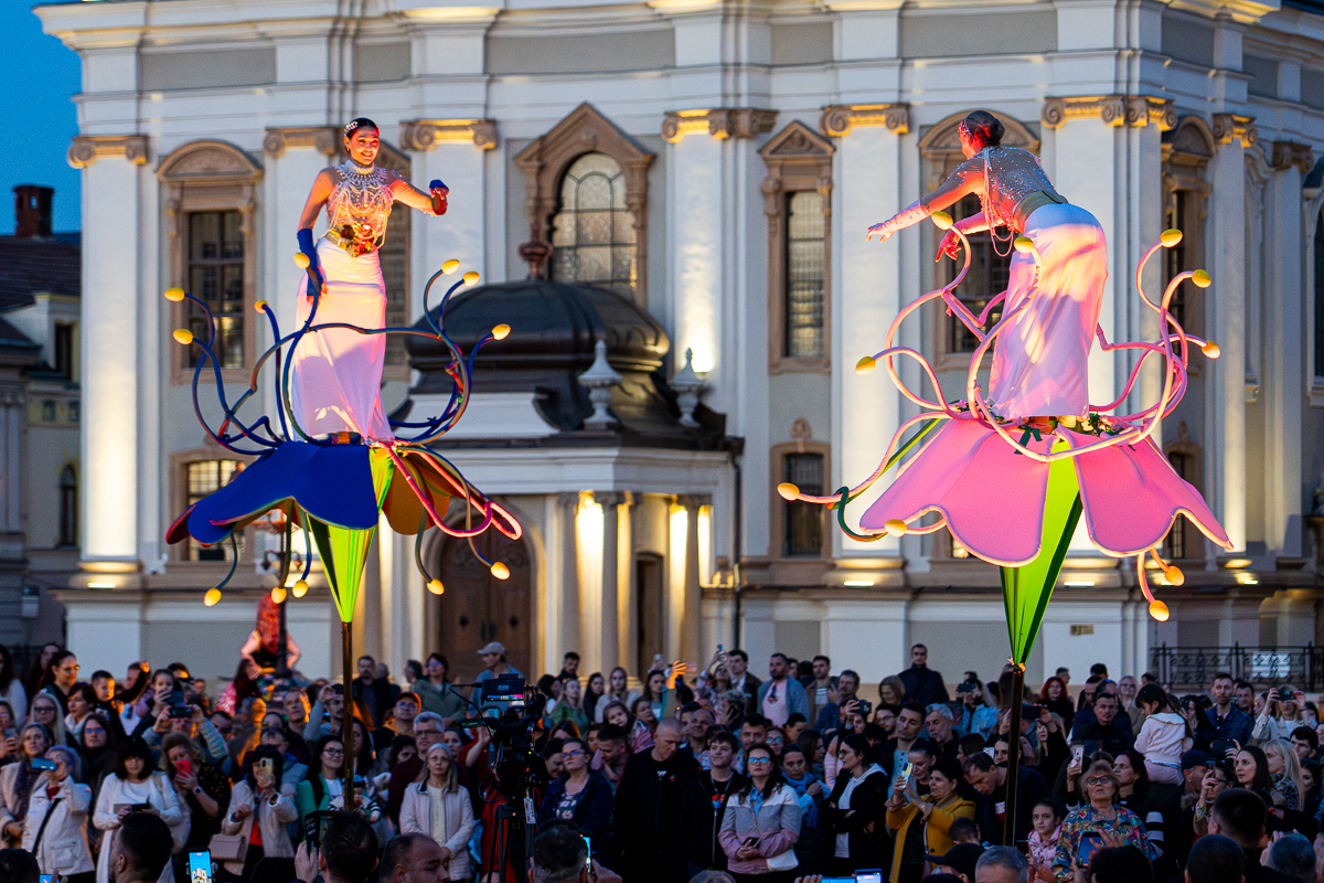 spectacol flori de florii (10)