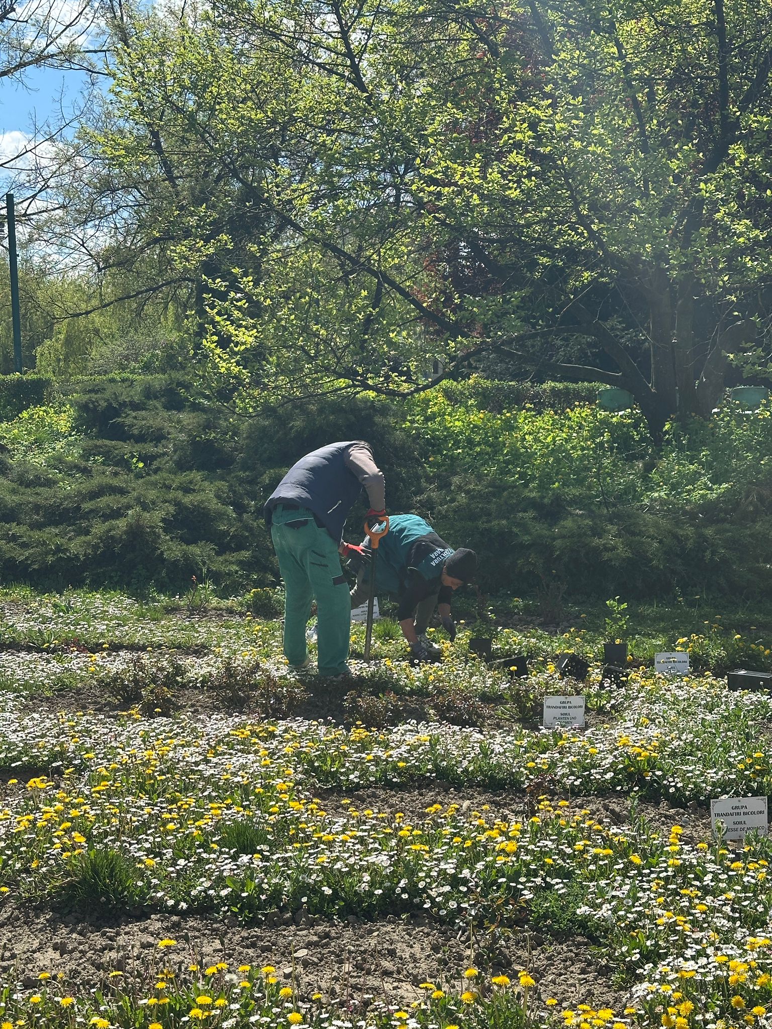 WhatsApp Image 2026-04-08 at 13.05.44 (1)