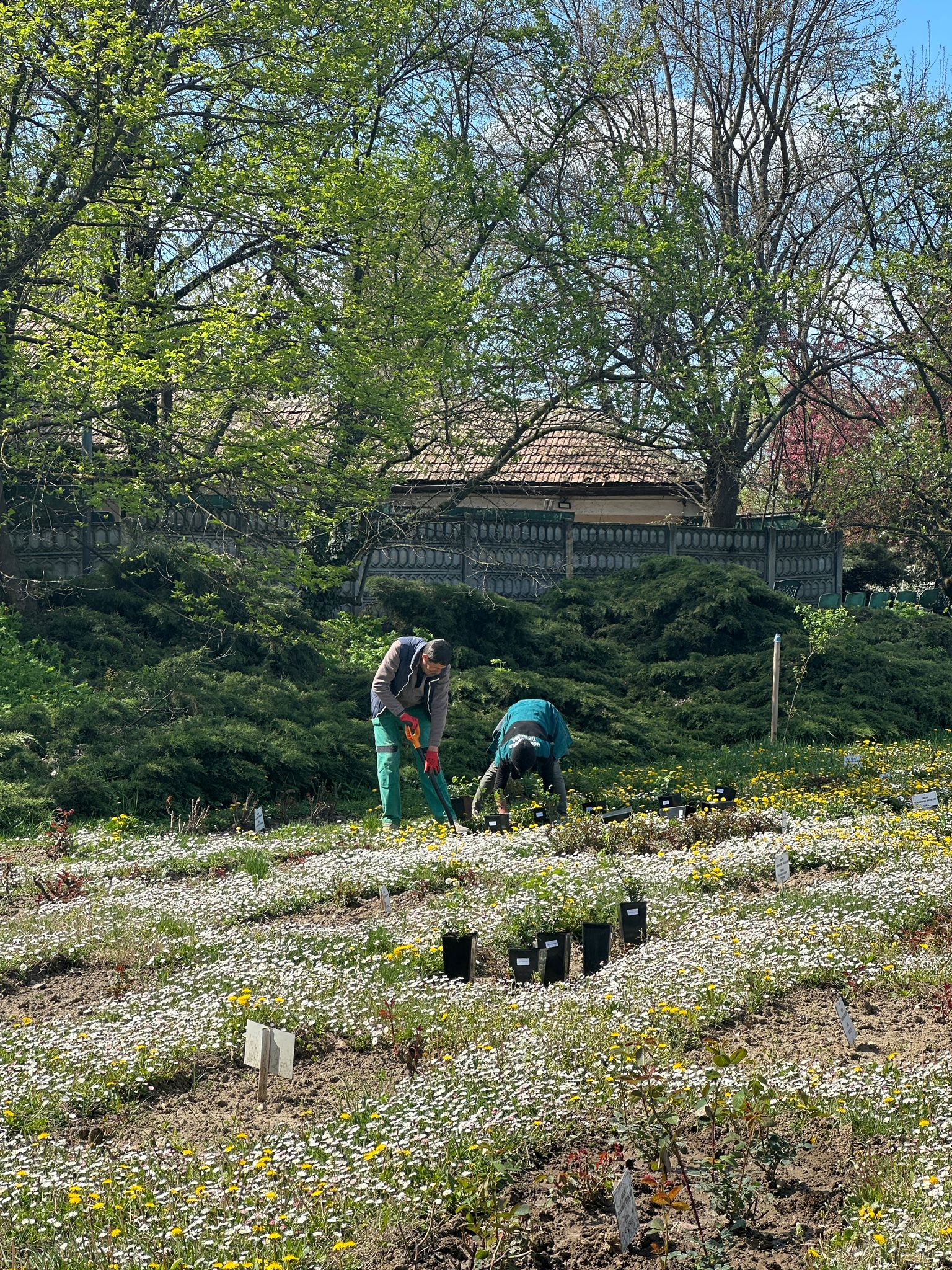 WhatsApp Image 2026-04-08 at 13.05.44 (2)