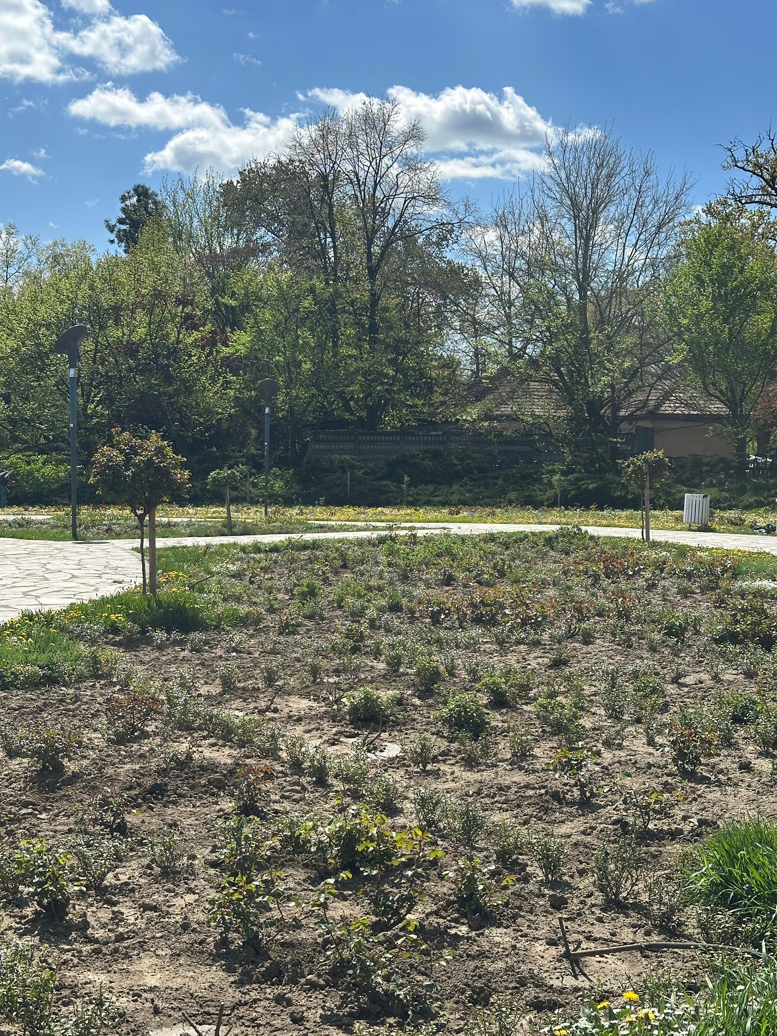 WhatsApp Image 2026-04-08 at 13.05.44