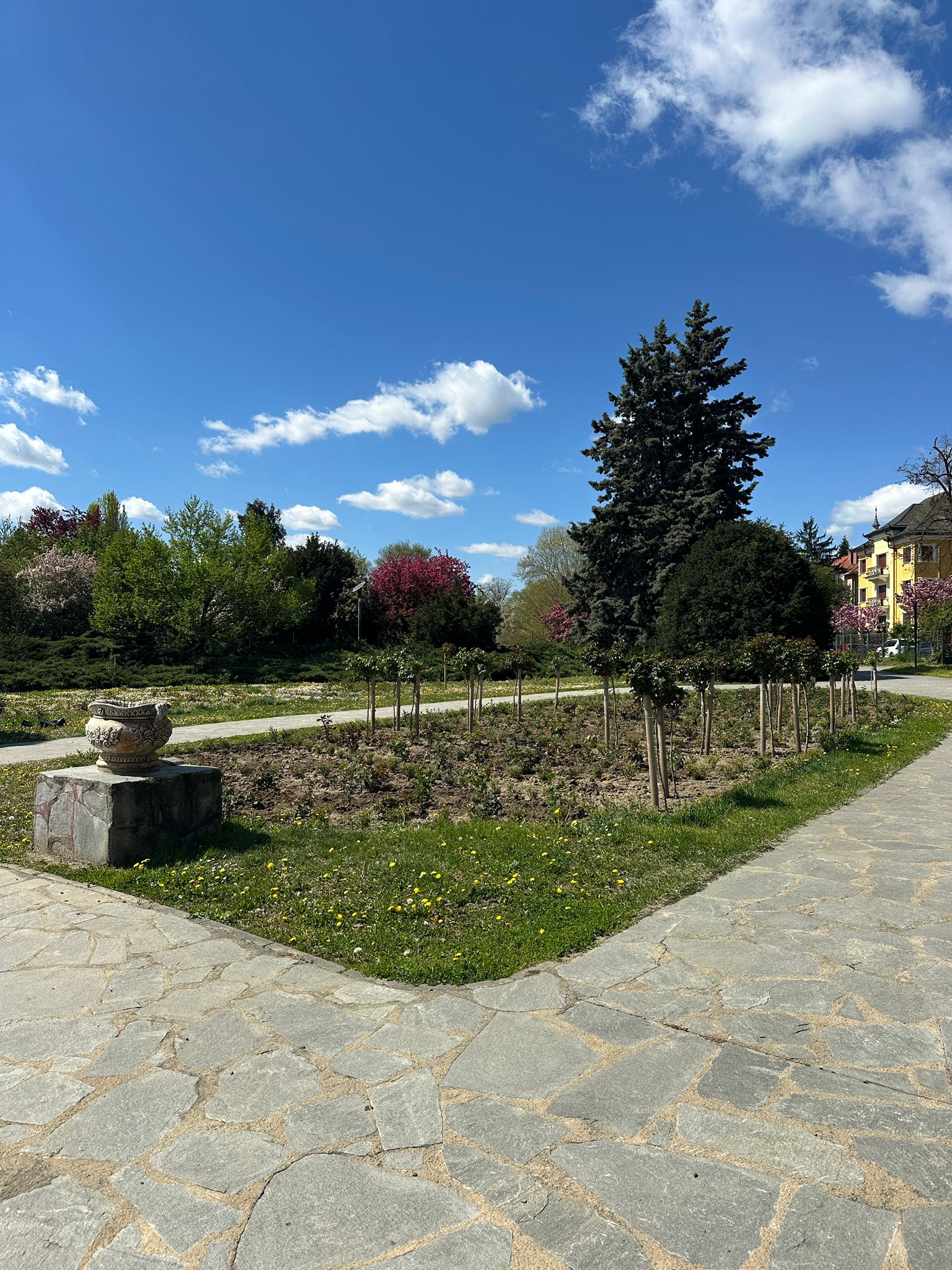 WhatsApp Image 2026-04-08 at 13.05.45 (1)