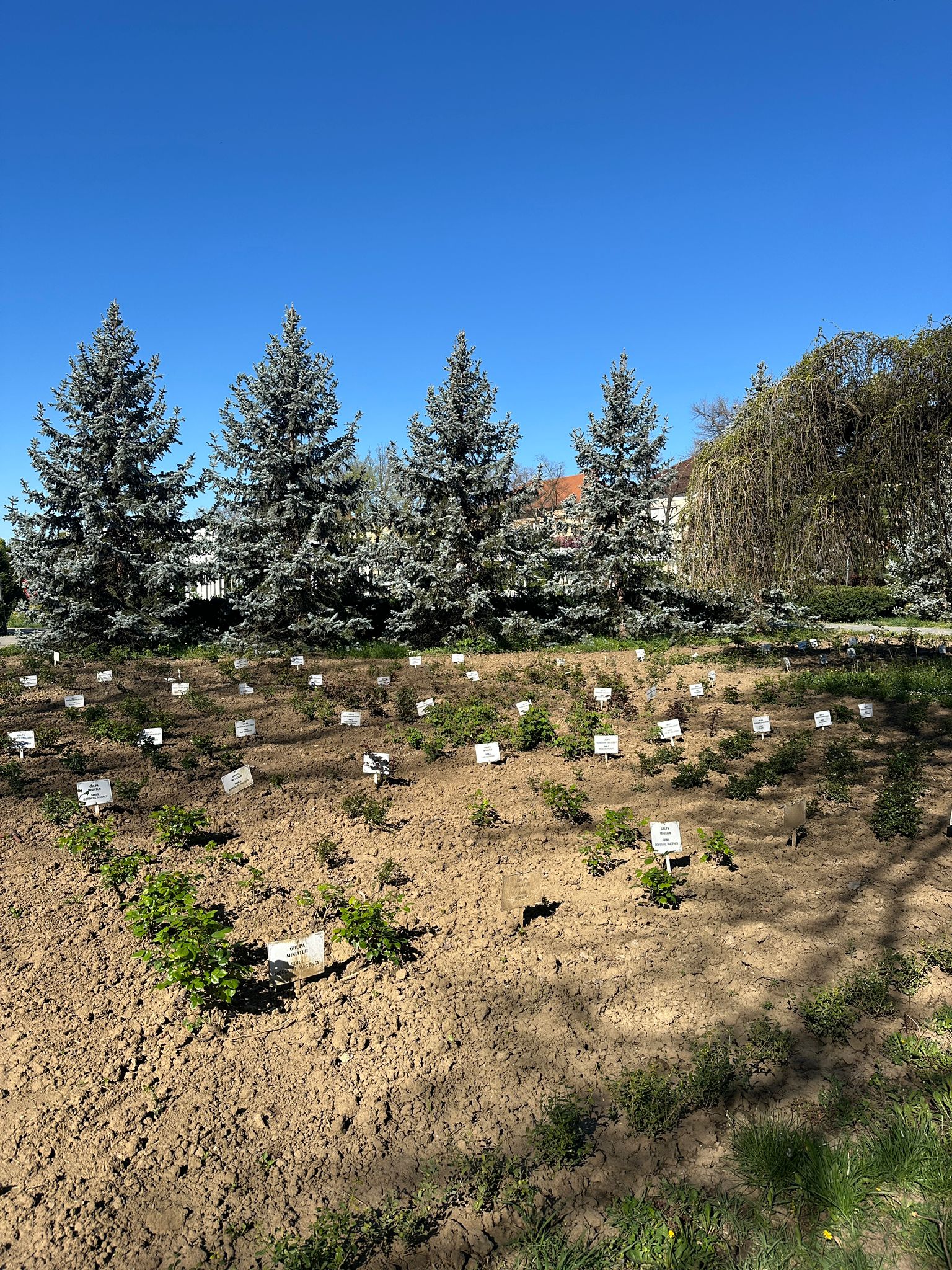 WhatsApp Image 2026-04-08 at 13.05.45 (2)